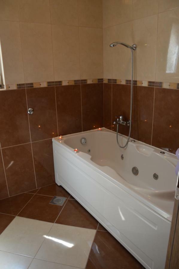 Apartment Babic